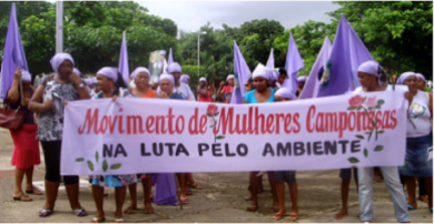 Movimento de Mulheres Camponesas (MMC)